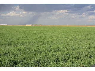 Property photo 10 - LAND AUCTION, 3255+/- Acres offered in 13 Tracts
